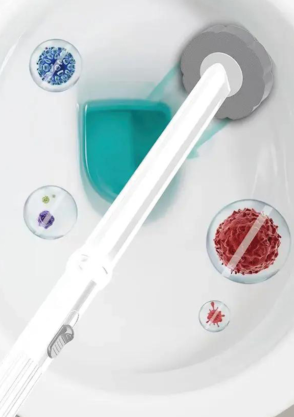 B1 Toilettenreinigerbürste