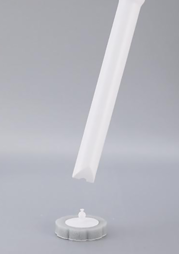 B1 Toilettenreinigerbürste